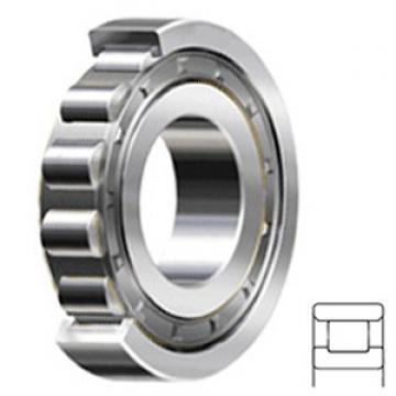 2.5 Inch | 63.5 Millimeter x 3.875 Inch | 98.425 Millimeter x 0.688 Inch | 17.475 Millimeter  CONSOLIDATED BEARING RXLS-2 1/2  Cylindrical Roller Bearings