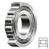 3.937 Inch | 100 Millimeter x 9.843 Inch | 250 Millimeter x 2.283 Inch | 58 Millimeter  CONSOLIDATED BEARING NJ-420 F  Cylindrical Roller Bearings