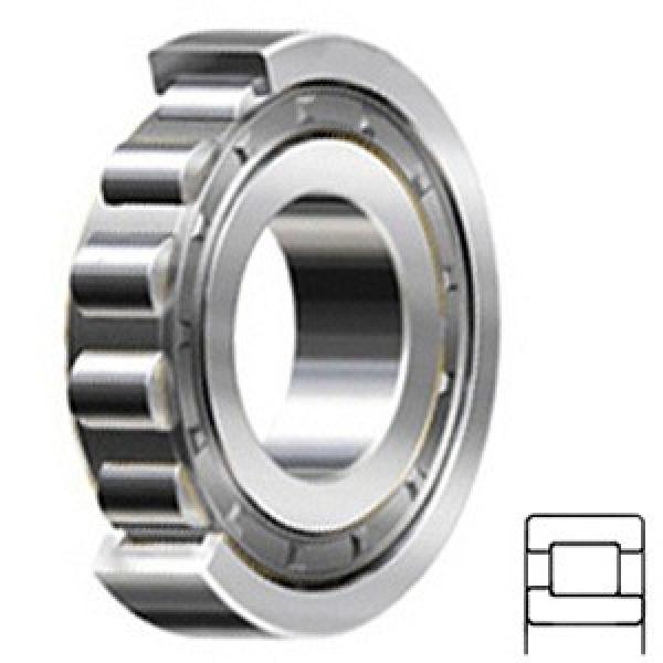 3.937 Inch | 100 Millimeter x 9.843 Inch | 250 Millimeter x 2.283 Inch | 58 Millimeter  CONSOLIDATED BEARING NJ-420 F C/4  Cylindrical Roller Bearings #2 image