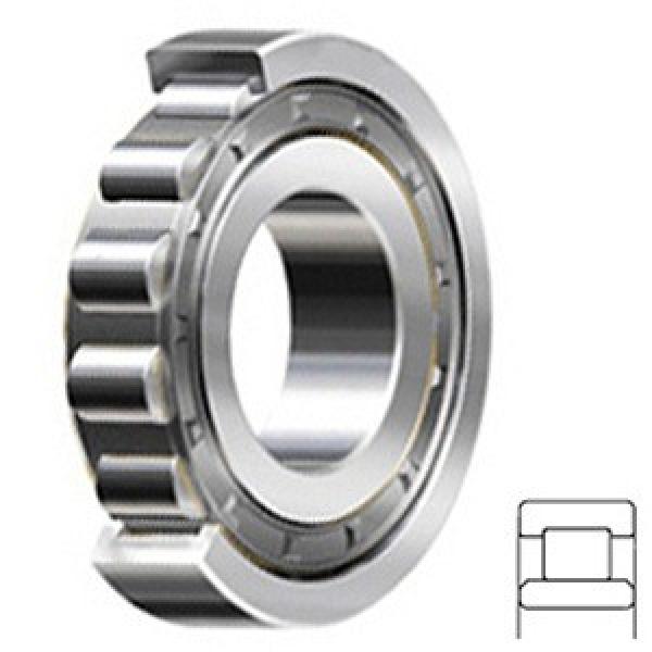 1.378 Inch | 35 Millimeter x 2.441 Inch | 62 Millimeter x 0.551 Inch | 14 Millimeter  CONSOLIDATED BEARING NU-1007E  Cylindrical Roller Bearings #2 image
