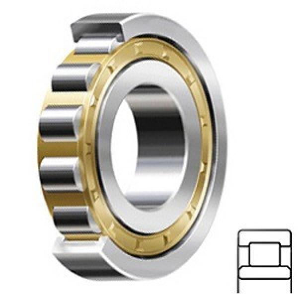 0.669 Inch | 17 Millimeter x 1.575 Inch | 40 Millimeter x 0.63 Inch | 16 Millimeter  CONSOLIDATED BEARING NU-2203E M  Cylindrical Roller Bearings #2 image