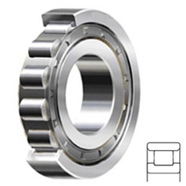 3.15 Inch | 80 Millimeter x 5.512 Inch | 140 Millimeter x 1.024 Inch | 26 Millimeter  CONSOLIDATED BEARING N-216E  Cylindrical Roller Bearings #2 image