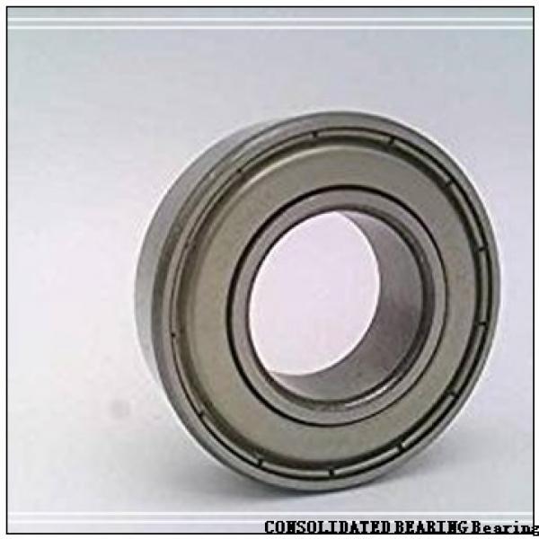 CONSOLIDATED BEARING N-207E C/4  Roller Bearings #1 image