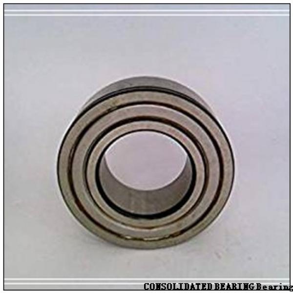 0.669 Inch | 17 Millimeter x 1.575 Inch | 40 Millimeter x 0.63 Inch | 16 Millimeter  CONSOLIDATED BEARING NU-2203E M  Cylindrical Roller Bearings #1 image