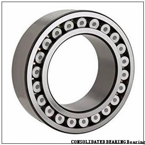 19.685 Inch | 500 Millimeter x 26.378 Inch | 670 Millimeter x 6.693 Inch | 170 Millimeter  CONSOLIDATED BEARING NNU-49/500-KMS P/5  Cylindrical Roller Bearings #1 image